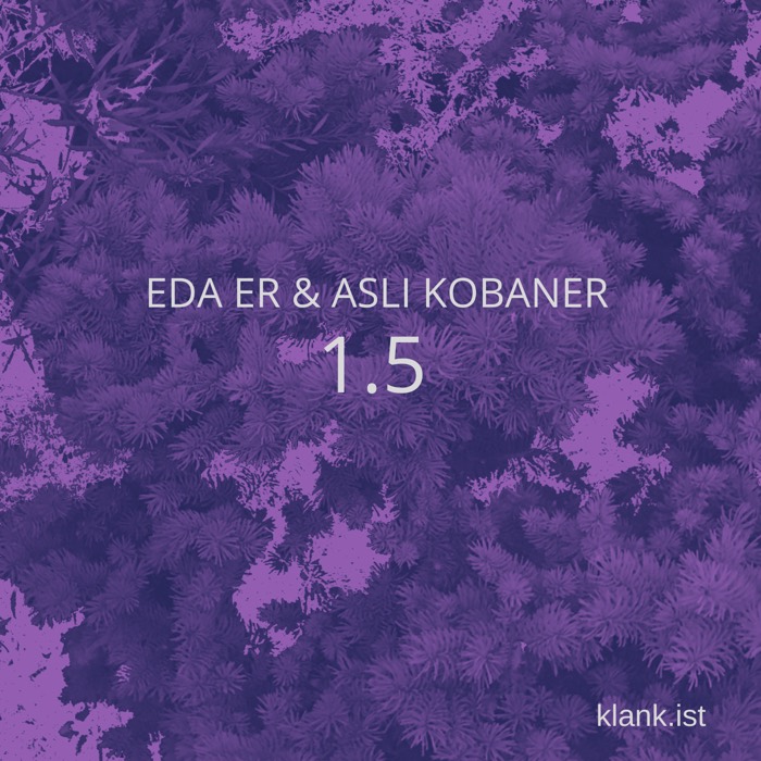 1.5 single cover